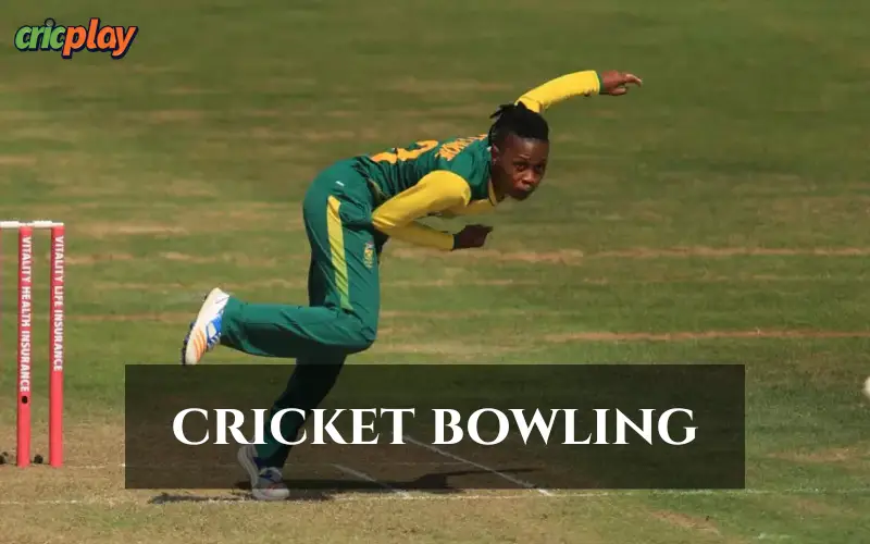 Cricket Bowling