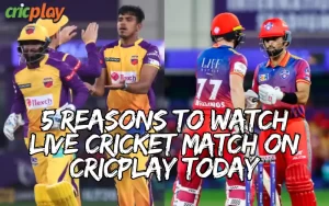 live cricket match