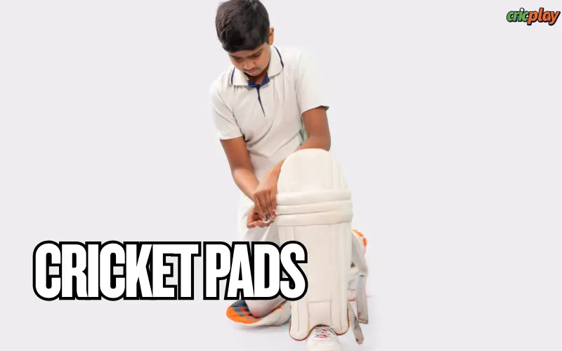 cricket pads