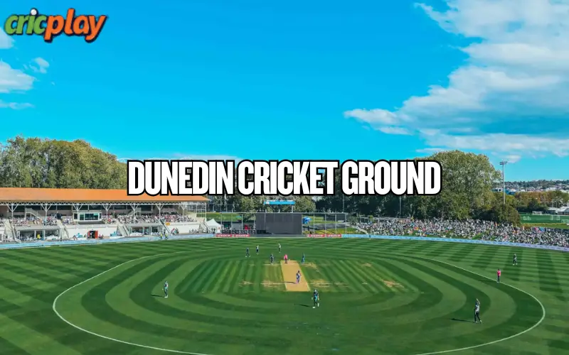 dunedin cricket ground