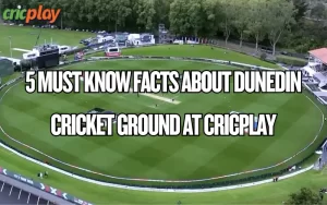 dunedin cricket ground