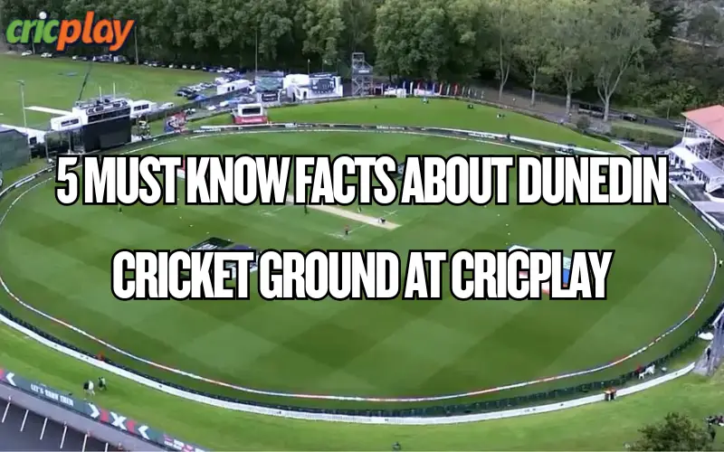 dunedin cricket ground